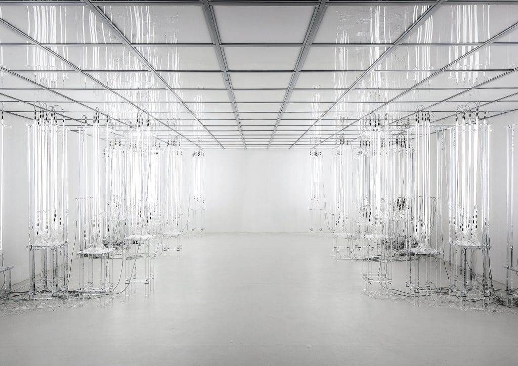 Courtesy Loris Loris Gréaud’s Does the angle between
two walls have a happy ending?, 2013,
at Punta della Dogana, Venice. Gréaud/Gréaudstudio. Photo Fulvio Orsenigo/Orch Orsenigo_Chemollo. 