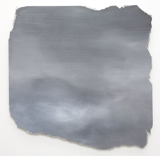 "Flat Screen Nature 51," 2014, would be at home in the Menil  