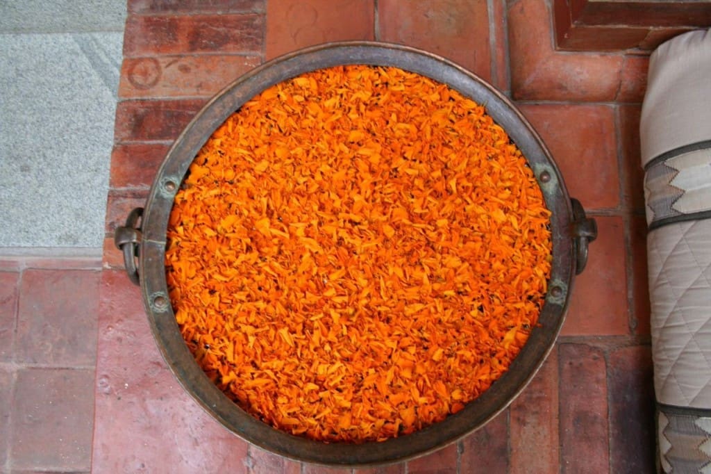 Effervescent saffron flowers in the lounge of the Hyatt Kathmandu. 