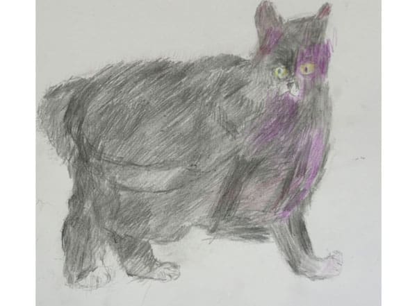 The plump "Senor Persian," circa 2013.