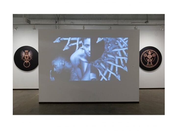 David Shelton Reports* from Dallas Arts Week
