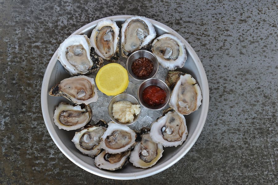 Oysters 