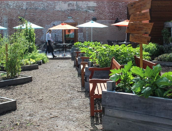 Coltivare grows its own herbs, lettuces and seasonal vegetables in a 3,000-square-foot garden on the premises.