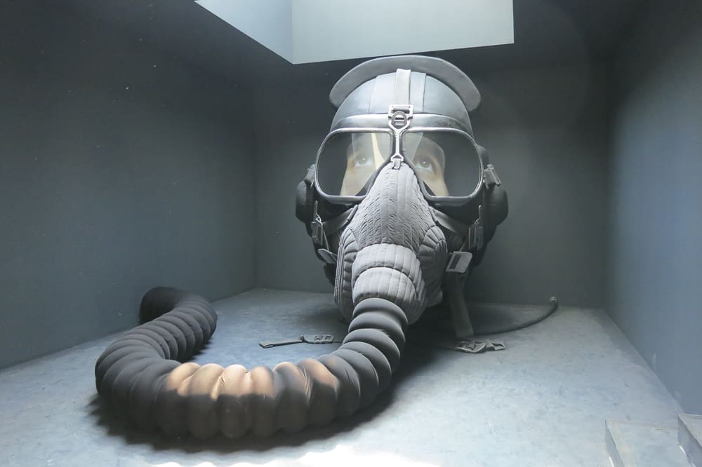 Venice Biennale Best:* Deborah Colton’s Top Ten List