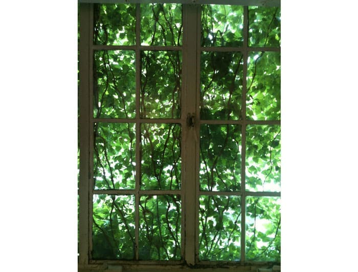 Cardoza Fine Art's modest windows are vine-encased, providing little clues to the hotbed of activity inside.  