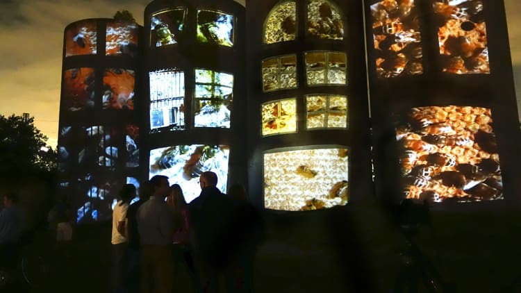 Allison Hunter Is Da Bomb:* Scintillating Street Art via #VideoBombHouston