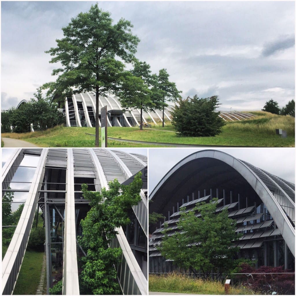 Up-close look at architect Renzo Piano's Paul Klee Museum | Bern, Switzerland.
