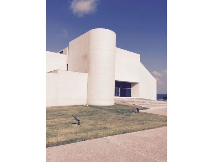Philip Johnson described his museum design as that of a "marshmallow carved." The grand opening, in October 1972, was attended by art-world dignitaries, including  Dominique de Menil and Time art critic Robert Hughes. Exhibition headliners Andy Warhol and Jasper Johns attended the festivities; Frank Stella, the third featured artist, could not be there.