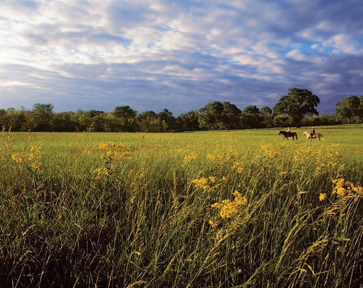 Guests of the Inn at Dos Brisas on a trail ride during wildflower season.