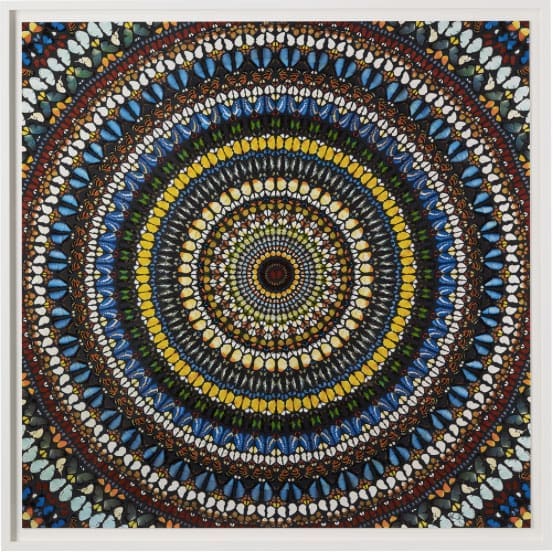 Damien Hirst's "Covenant," a small-batch silkscreen, one of an edition of 25 from Other Criteria. The work references the artist's famous paintings bearing embedded butterfly wings. 