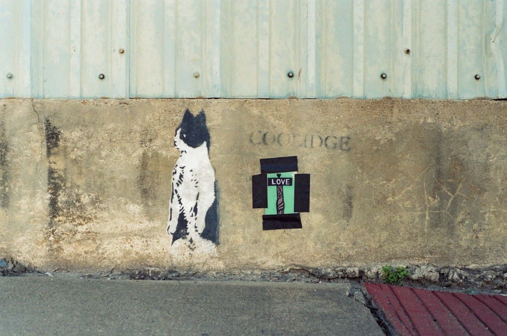 In the shadows of downtown lies one of Coolidge’s signature creature spray paintings. Here, Alex Barber (@visibleinlight) placed a photo he took of a mural by Daniel Aguilu for a passerby to take. Check out more of his photographs at http://www.visibleinlight.com.

