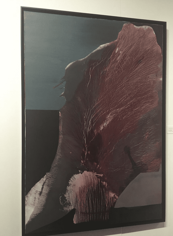A mysterious Dorothy Hood canvas holds court in the Art Museum of South Texas pavilion, gearing up for the museum's epic traveling Hood retrospective set for September 2016. 
