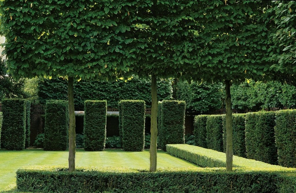 Houston’s Most Amazing Private Garden? World Champion Gardening Star Jets in From London to Work His Magic