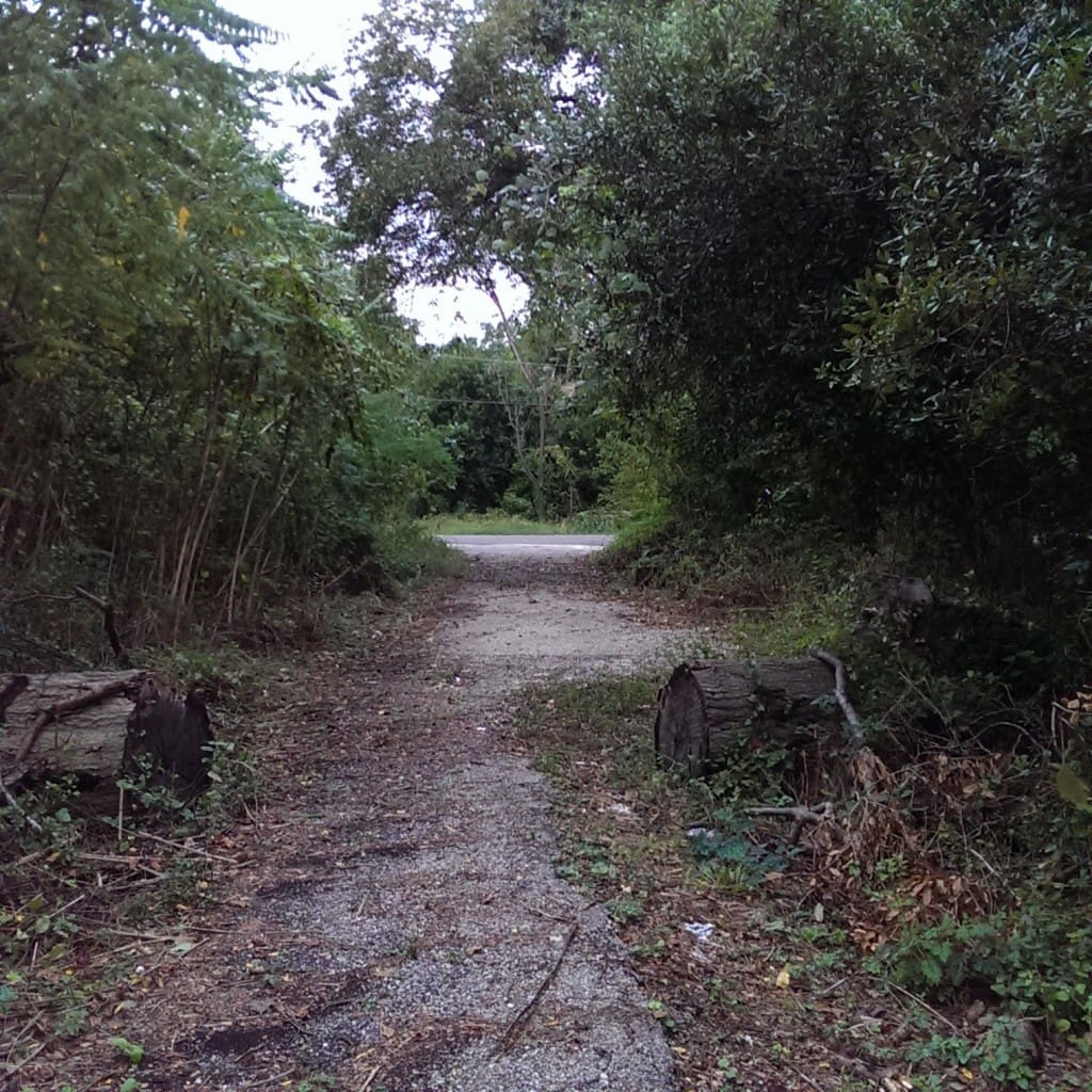 The entrance to Olivewood Cemetery, one of the oldest burial grounds in Houston. (Photo by Matthew Ramirez)
