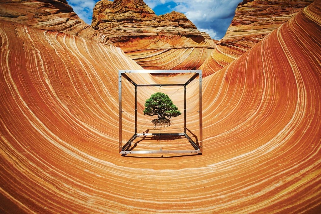 The artist's Shiki I x Sandstone, 2015. 