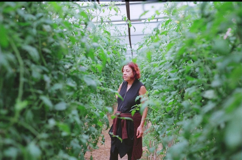 Houston’s Farmers Market Queen: The Woman Who’s Changed City Restaurants and Food Forever