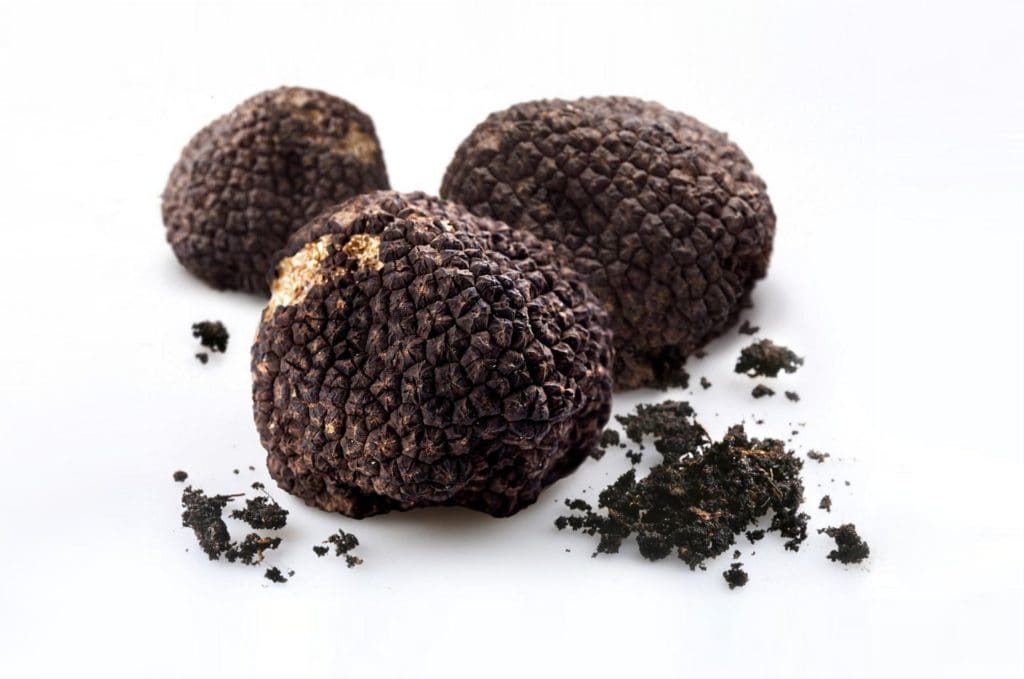 Truffle Fight: Houston’s Top Chefs Battle for Supremacy — and Kilograms of Pricey Delicacies