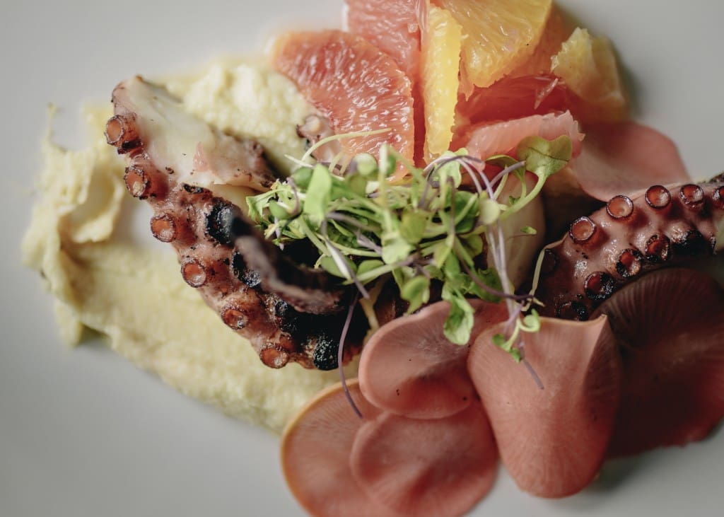 Octopus