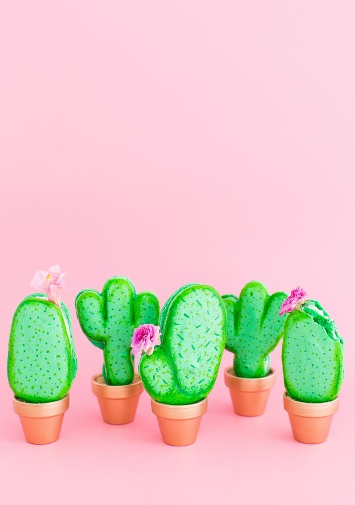 Forgo floral centerpieces for macaron cactus planters. (Photo by Jared Smith) 