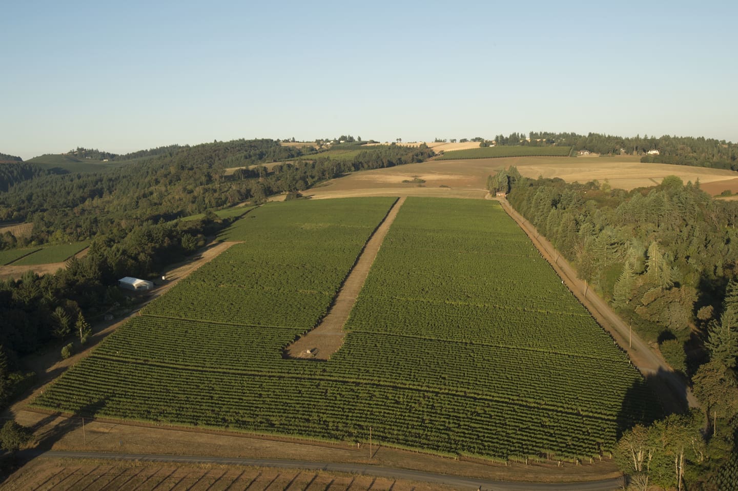 Willamette Valley Vineyards