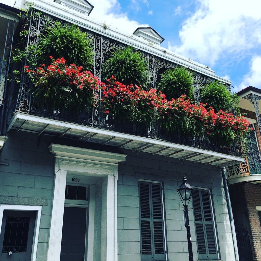 Lush balcony gardens line the streets of New Orleans.