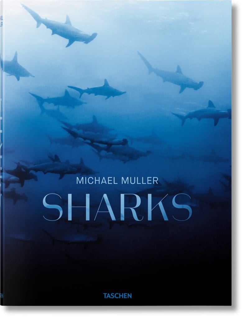 Sharks Like You’ve Never Seen Before: Jaw-Dropping New Photographs Shed a Scary Light on the Ocean’s Predators