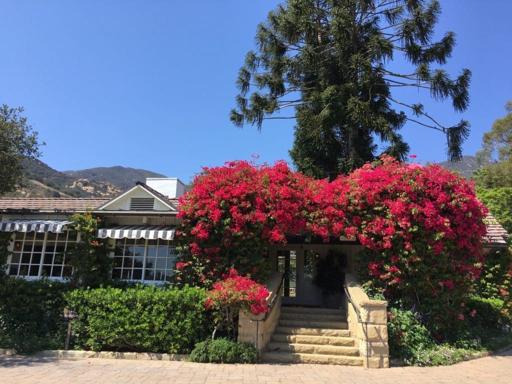 A DJ’s Guide to Santa Barbara: The Unexpected (and Oft Hidden) Cool Spots of the Cali Wonderland