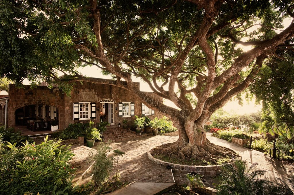 Luxury Travel’s New Hotspots: Austin Treehouse Resort, a Tiny Island Escape and Cali Cliff Life Typify Neverland Trend