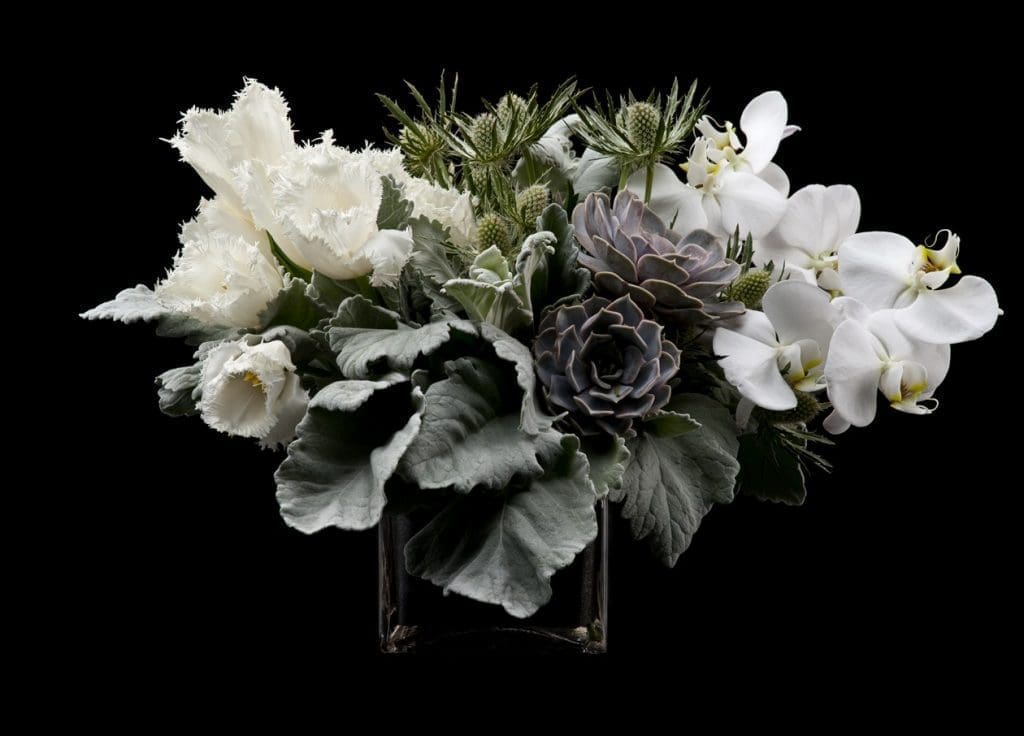 David Brown Flowers 