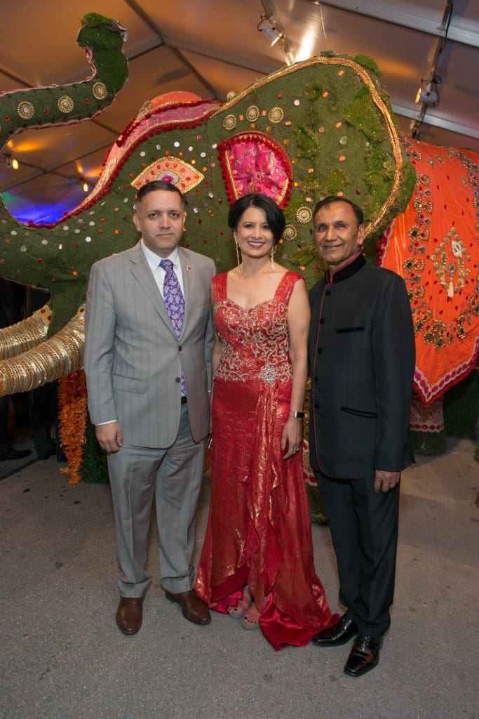 Asia Society Tiger Ball