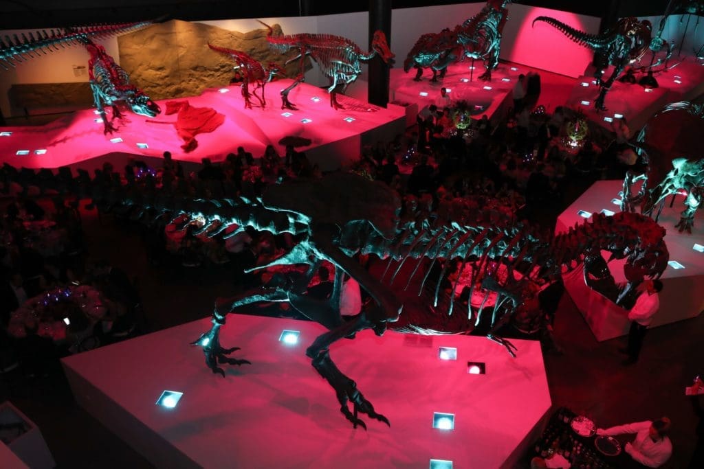 HMNS Gala
