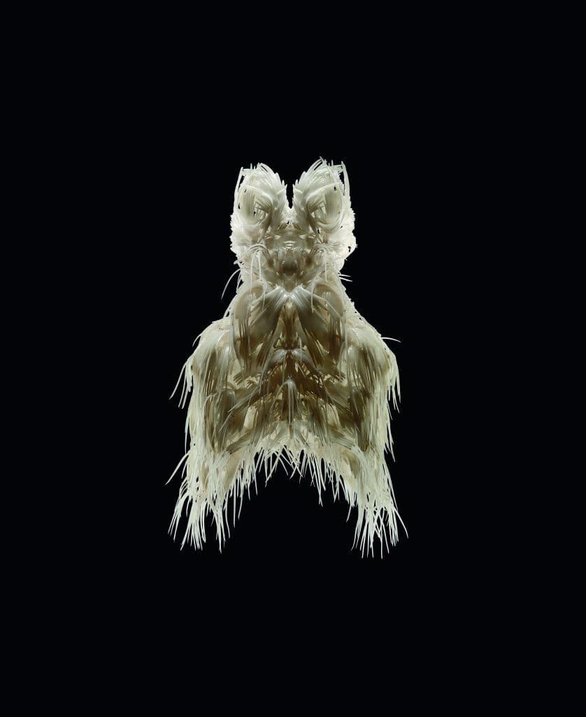Iris van Herpen in collaboration with
Julia Koerner and Materialise, "Biopiracy" dress, March 2008, 3-D printed TPU 92A-1, silicon coating
