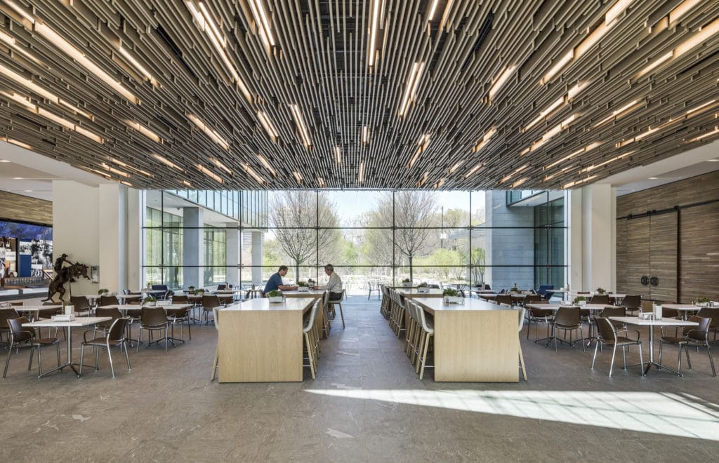 Randomized oak slats and LEDs in the ceiling on the second floor mimic sunlight dappling through trees. (Photo by Erika Edwards)