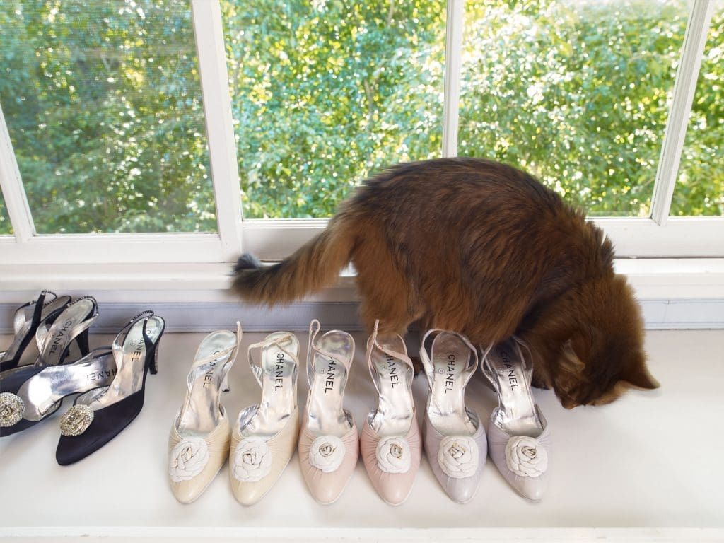 Catherine Opie's "Fang and Chanel," 2010-2011, is part of the artist's series photographed in Elizabeth Taylor's mansion after the screen legend had passed on. 