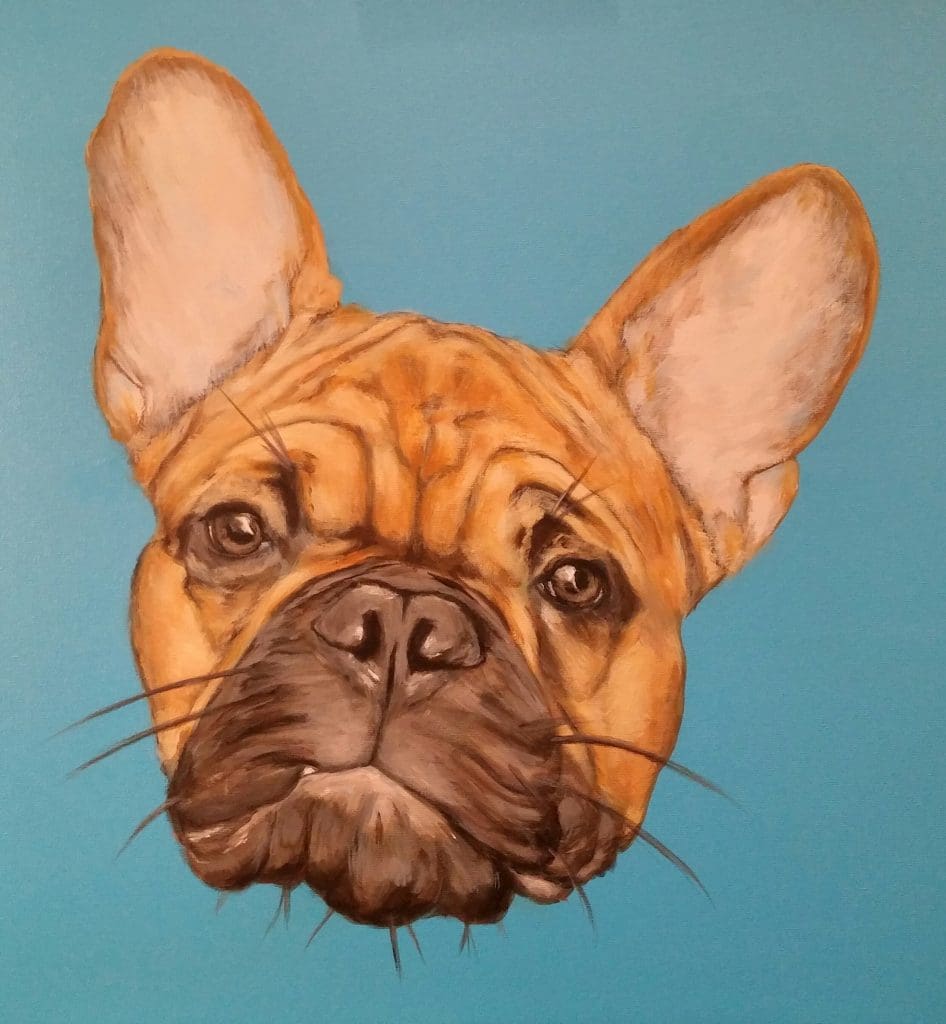 Lily Gavalas' over sized pet portraits are featured in her studio at Silver Street. Shown: "Bully," 2016.