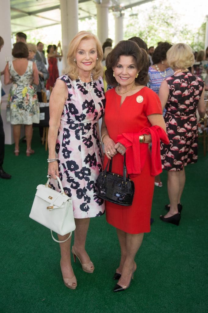 Bayou Bend luncheon