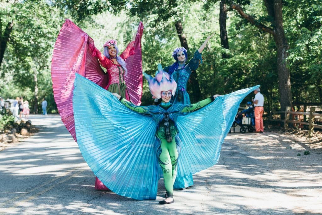Fairies prowl the arboretum grounds.