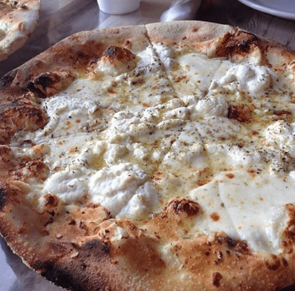 Olivella's