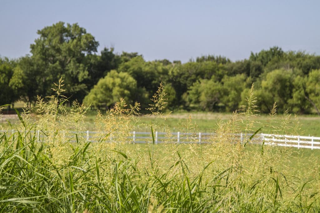 FarmHouse Fresh ranch (Photo by Manny Rodriguez)
