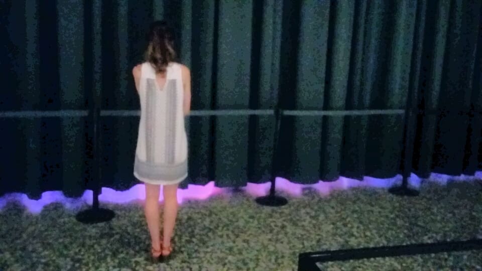 A theatrical curtain keeps the viewer in suspense before entering the Pipilotti Rist installation, which requires a special ticket (available through mfah.org). 