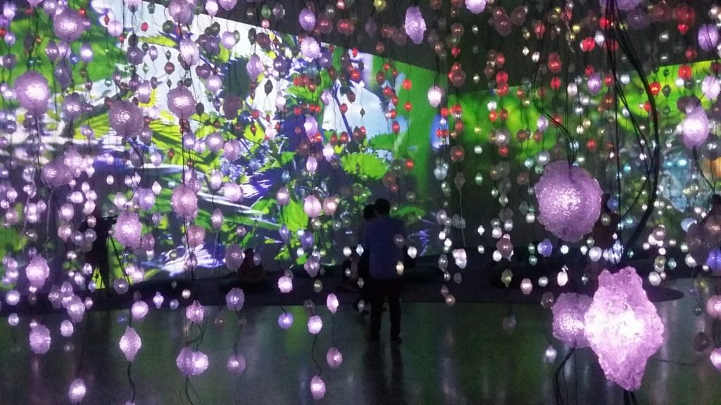 Rist provides a sight and sound show for viewers at MFAH. (Photo Catherine D. Anspon) 