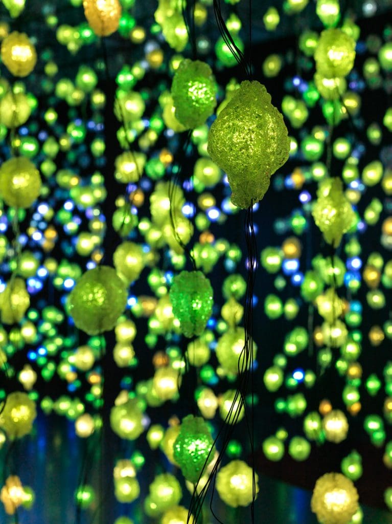 A detail of one of the 3,000 light components that forms Rist's "Pixel Forest,"2016,  now on view at the MFAH. (Photo Maris Hutchinson, EPW Studio; courtesy New Museum, NYC)  