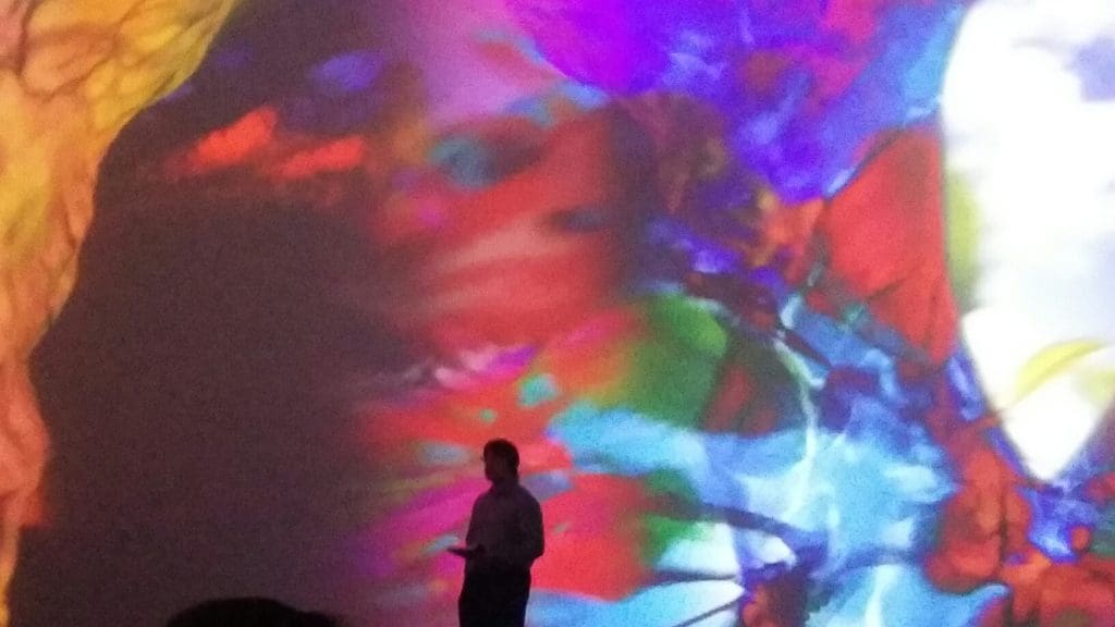 A member of the press corps has an encounter with Pipilotti Rist. (Photo Catherine D. Anspon) 