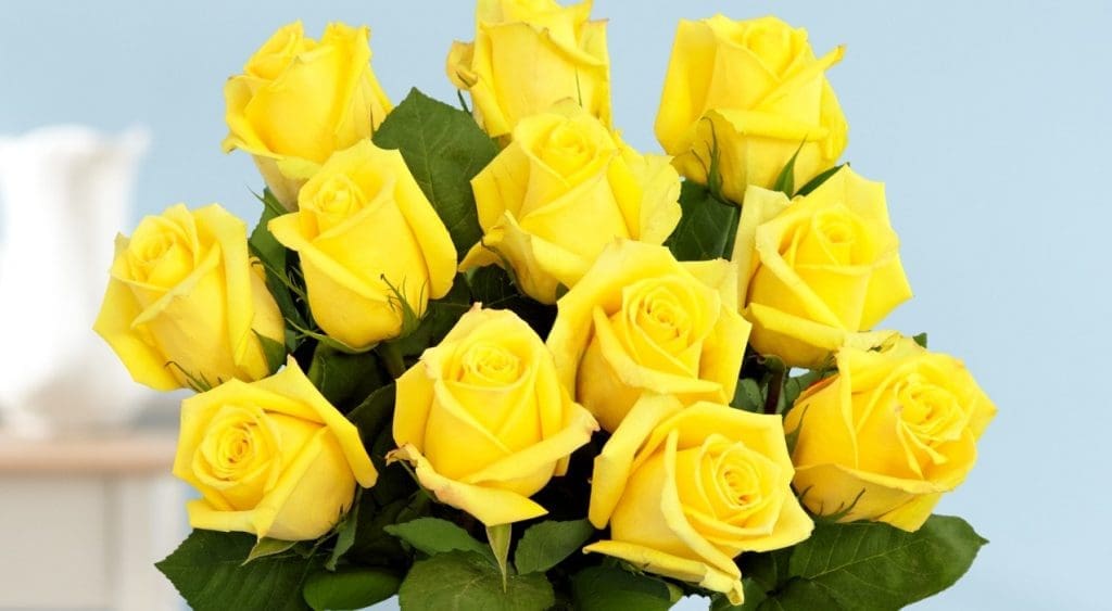 Yellow roses are often presented to the family of a friend who has passed away.