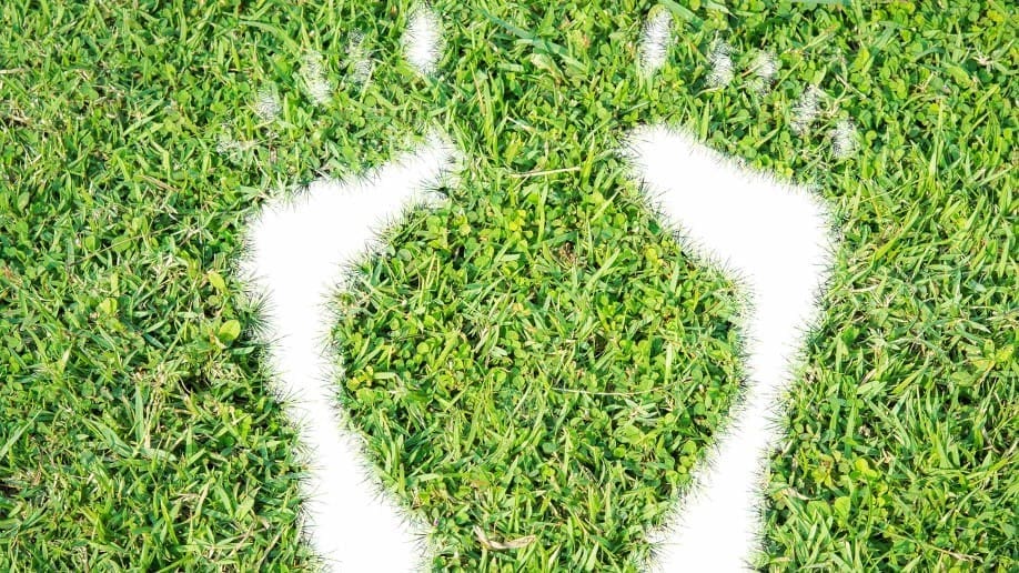 Who doesn't want to reduce their carbon footprint and save some green in the process?