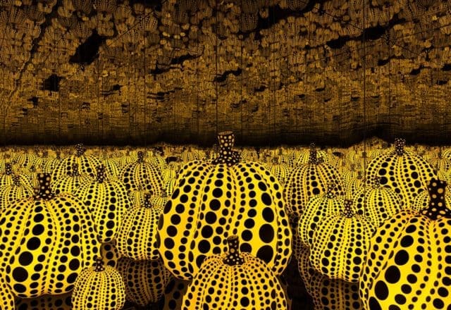 Yayoi Kusama's "All the Eternal Love I Have for the Pumpkins," 2016, returned to the DMA in 2025. (Courtesy Yayoi Kusama Inc., Ota Fine Arts, Tokyo / Singapore and Victoria Miro, London; photo Thierry Bal; © Yayoi Kusama)