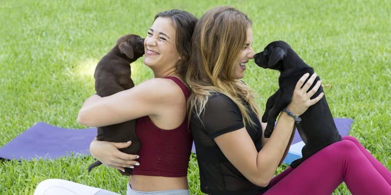 Puppies are the latest yoga trend in Dallas. Photo from the event page. 