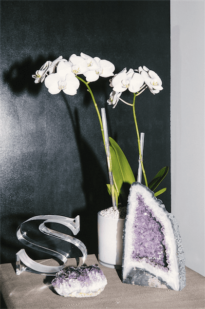 Inside Suzanne Droese's office. 