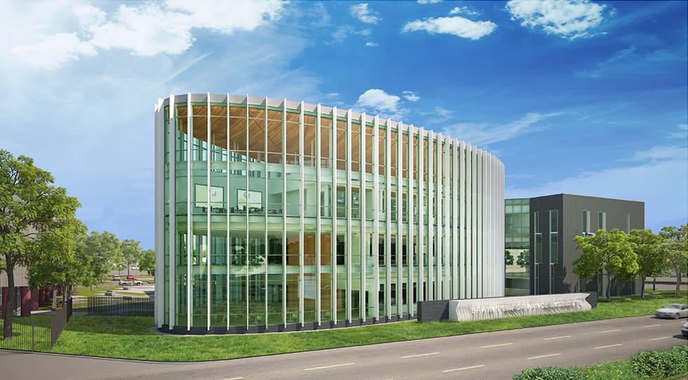 brain performance institute