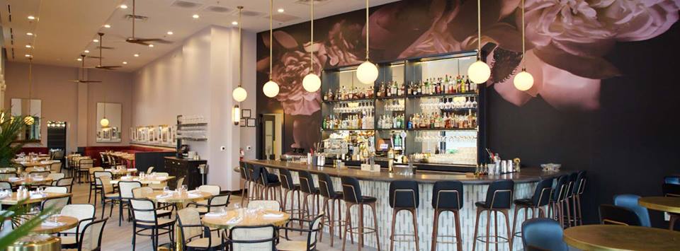 The owner of Up on Knox (pictured) is teaming up with Junior Borges on a new concept. 